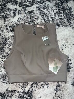 Forever 21 Taupe Sleeveless Crop Top